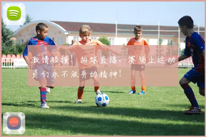 激情碰撞！排球直播，赛场上运动员们永不放弃的精神！